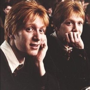 Meet your Posher, Irene